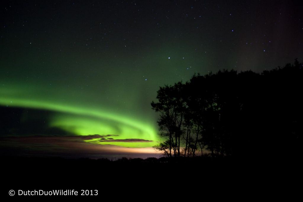 Aurora Borealis in South of Prince Albert, Saskatchewan, Canada