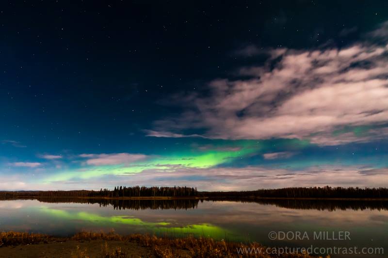 Aurora Borealis. From Fairbanks, Alaska by Dora Miller