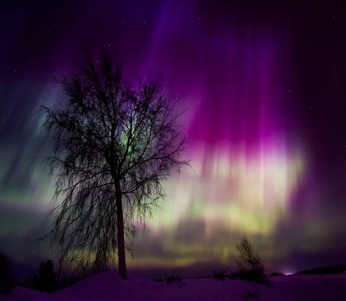 Aurora Borealis Forecast Photo