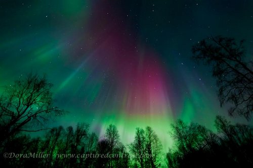 Aurora Forecast Photo