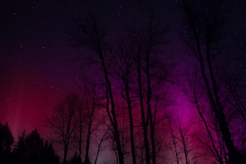 Aurora Borealis Forecast Photo